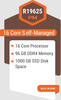 16 Core Self-Managed R19625 96 GB DDR4 Memory 1000 GB SSD Disk Space 16 Core Processor